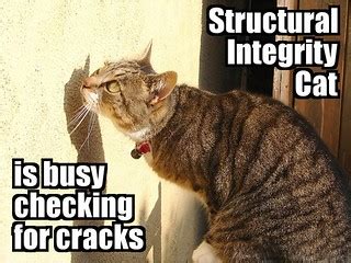 Structural Integrity Cat | Created with fd's Flickr Toys. | Flickr