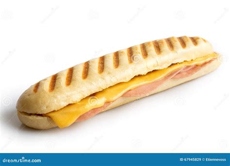 Käse Und Schinken Rösteten Panini Lokalisiert Auf Weiß Stockbild - Bild von getrennt, gekocht ...