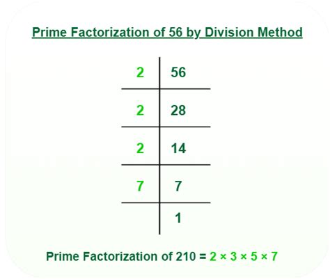 Prime Factorization Methods, Definition & Examples