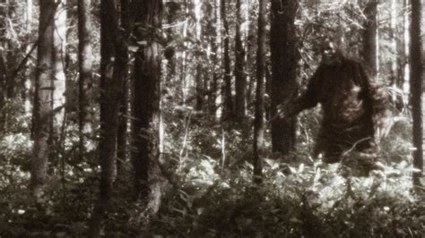 Men left in ‘utter disbelief’ after apparently spotting a Bigfoot-like ...