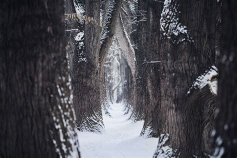 Winter in Bavaria :: Behance