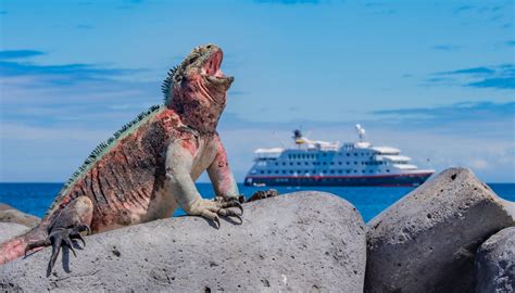 Discover the Unique Wonders of the Galápagos Islands with Hurtigruten ...