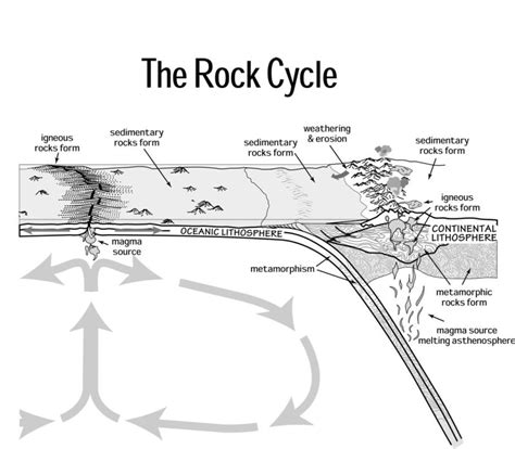 What Is Xenolith? Definition And Formation Process, 54% OFF