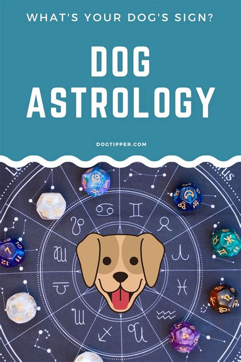 Dog Astrology: Decode your dog's unique personality traits based on their astrological sign ...