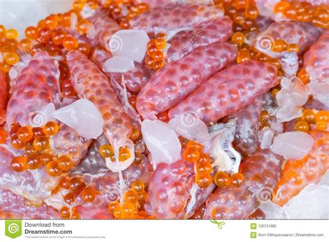 Giant Sea Salmon Catfish Eggs Stock Photo - Image of delicacy, delicatessen: 120731982