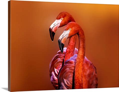 Flamingo Portrait Wall Art, Canvas Prints, Framed Prints, Wall Peels | Great Big Canvas