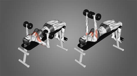 Dumbbell Chest Press Muscles Worked