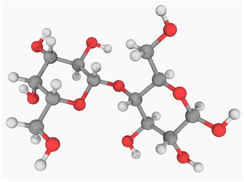 Lactose Molecule Photograph by Laguna Design/science Photo Library - Pixels
