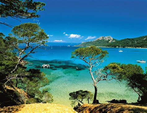 Deborah Lawrenson: Porquerolles