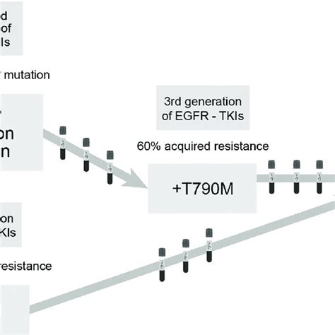 Schematic representation of ctDNA analysis. Plasma is processed for... | Download Scientific Diagram