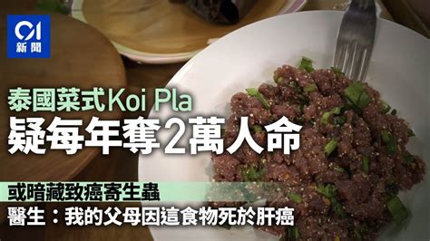 泰國菜式Koi Pla疑每年奪2萬人命 或暗藏致癌寄生蟲 醫生發警告