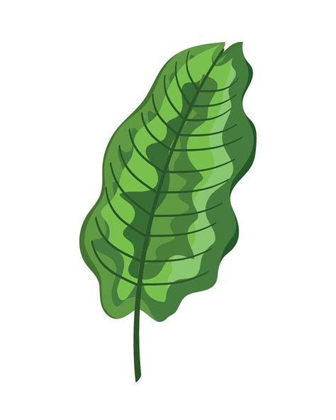 tropical green leaf 10350830 Vector Art at Vecteezy