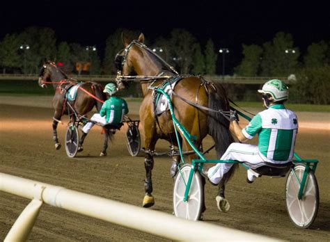 Cal Expo Harness Racing Schedule 2024 - Edythe Vivian