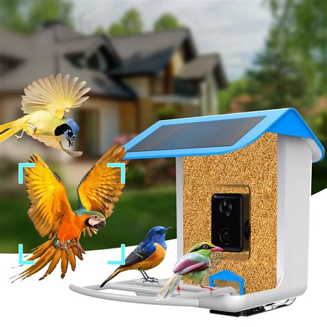 Bird Feeder with Camera-Smart Bird Watcher Camera with Solar Pannel, Auto Capture Bird Videos-AI ...