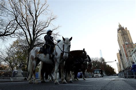 National Western Stock Show Parade Cancelled. Were You Going?