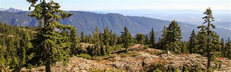 North Shore Hiking Trails in North and West Vancouver | Vancouver Trails