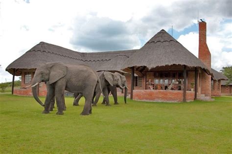 Antelope Park | Private Game Reserve, Gweru | byolife.co.zw