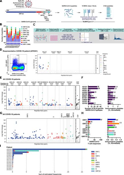 T Cell Epitope Mapping Map Resume Examples - vrogue.co