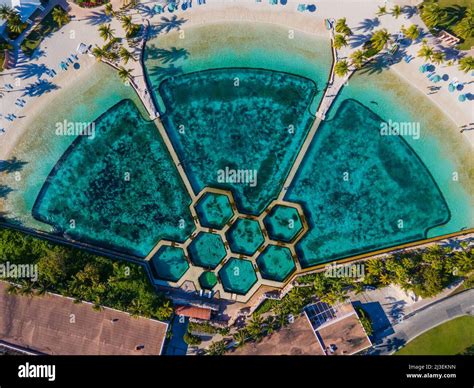 Dolphin Cay top view at Atlantis Hotel on Paradise Island, Bahamas ...