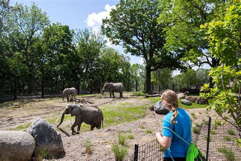 Omaha zoo offering discounted rates during membership drive | Henry ...