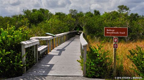 Everglades National Park | OTTER CAVE HAMMOCK TRAIL