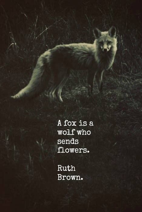 Pin by Ashleigh Hess on Inari Fox | Fox quotes, Animal quotes, Fox