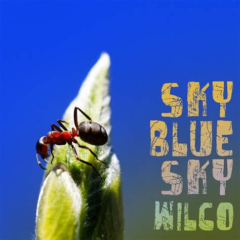 Sky Blue Sky | Wilco's Sky Blue Sky for the Repackaged by Ze… | Flickr