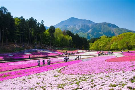 10 Best Things to Do in Saitama - Japan Web Magazine