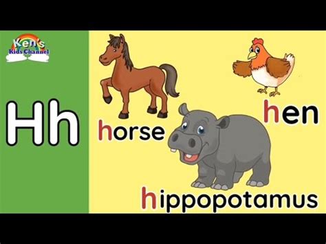Letter Hh | Letter H Sound | Objects Beginning with the Letter Hh - YouTube