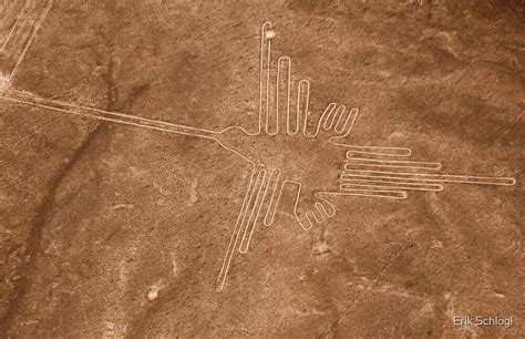 "Colibri (Hummingbird), Nazca Lines, Peru" by Erik Schlogl | Redbubble