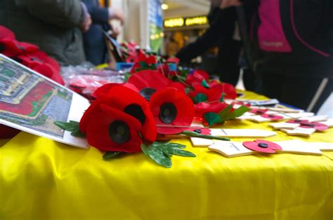 See Poppies at Tower of London Date Extended