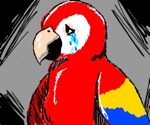 Crying Parrot - Drawception