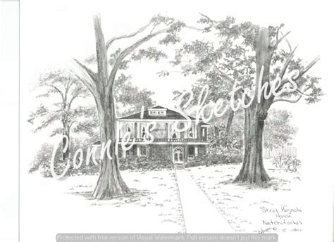 Steel Magnolia House, Natchitoches – Connie’s Sketches