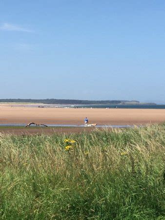 Belhaven Beach (Dunbar, Scotland): UPDATED 2018 All You Need to Know Before You Go (with Photos ...