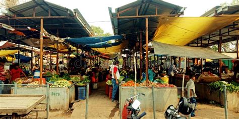 Indian Farmers Stand in a Rustic Market Editorial Stock Image - Image of north, rickshaw: 83361909