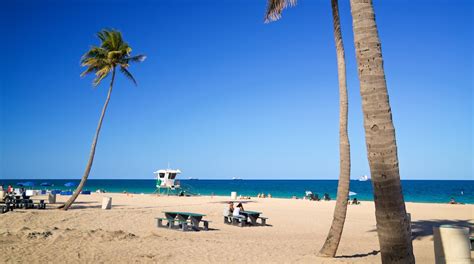 Fort Lauderdale Beach Park in Fort Lauderdale | Expedia