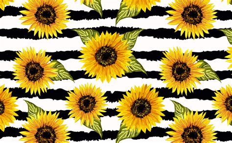 sunflowers on black and white striped background