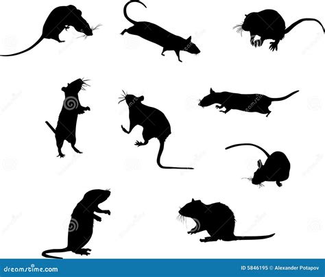 Nine Rat Silhouettes Royalty Free Stock Photo - Image: 5846195