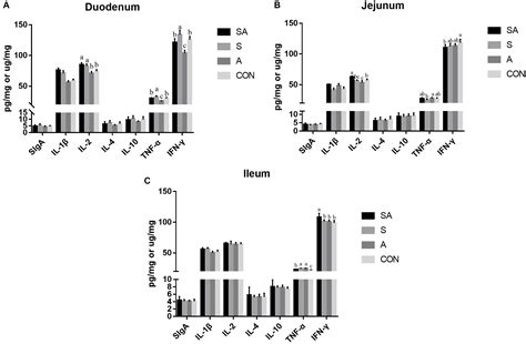 Frontiers | Effect of Alfalfa Hay and Starter Feeding Intervention on Gastrointestinal Microbial ...