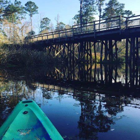 Bayou Adventure (Lacombe) - 2018 All You Need to Know Before You Go (with Photos) - TripAdvisor