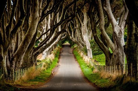 Driving the Thrilling Causeway Coastal Route - Travel Addicts