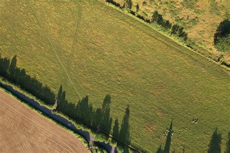 Aerial View of a Grass Field · Free Stock Photo