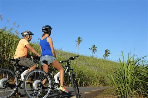 Mauritius e-biking and wine tour | musement