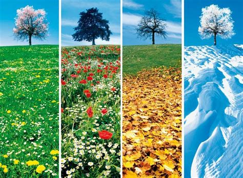 Saisons : dates de l'hiver, du printemps, de l'été et de l'automne | Les-dates