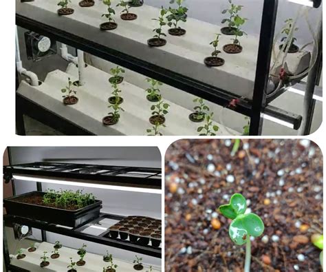 10 Best Hydroponic Systems for Growing Vegetables Herb Examiner