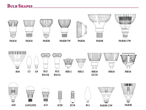 Bulbs Identification Guide