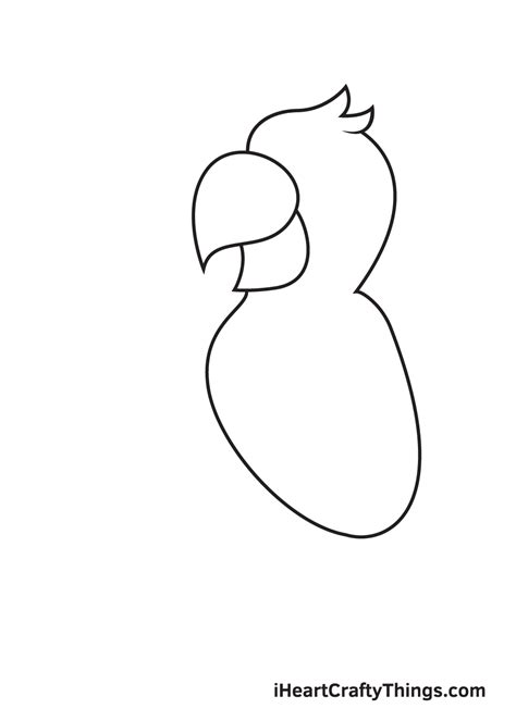 Parrot Drawing — How To Draw A Parrot Step By Step