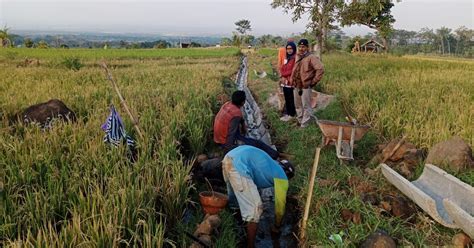 PEMBANGUNAN SALURAN IRIGASI SAWAH DI DESA SIDOREJO