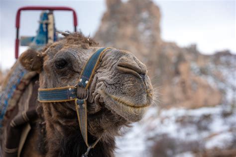 35 Epic Things To Do In Magical Cappadocia, Turkey • Seeing Sam