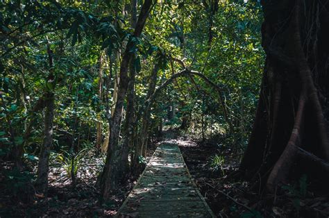 Tanjung Datu National Park: A Wonderful Hidden Paradise